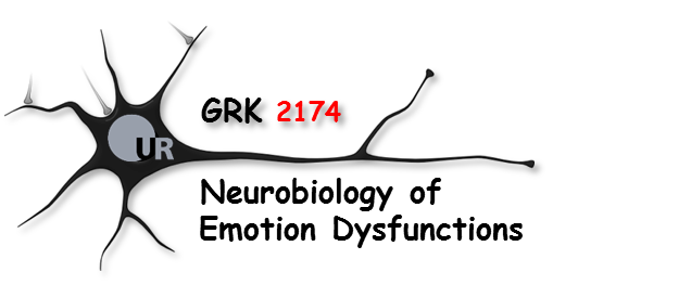 Logo GRK 2174